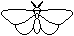 Moth